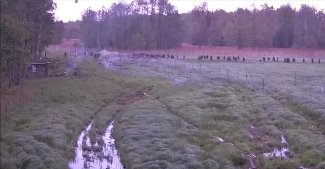 Migrants again storm the Polish border from the side of Belarus