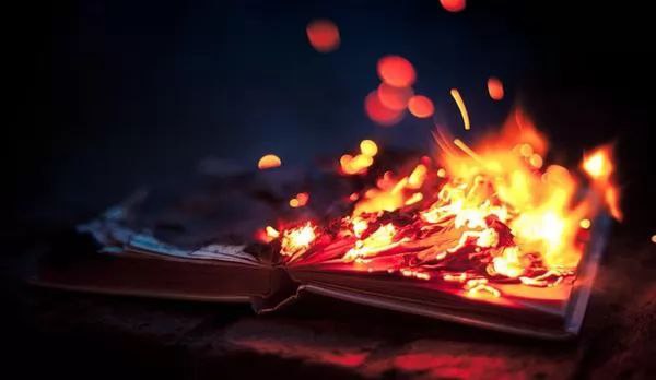 В Дании теперь могут посадить в тюрьму за сожжение Корана