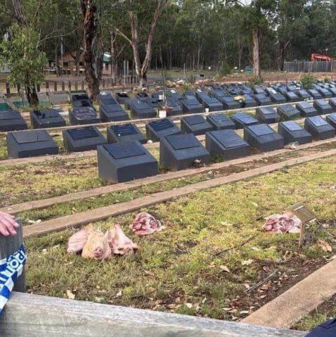 Стрельбу на пляже Бонди устроили отец и сын, присягнувшие ИГИЛ